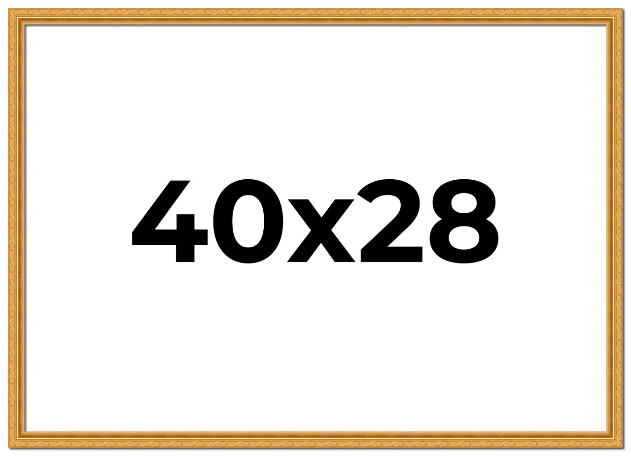 40x28 Solid Wood Antique Picture Frame with UV-Resistant Acrylic & Acid-Free Backing, Available in 4 Finishes: Bronze, Gold, Silver, and Gold with Black